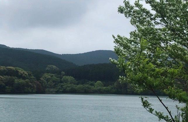 蕪池と緑 奥には山が見える