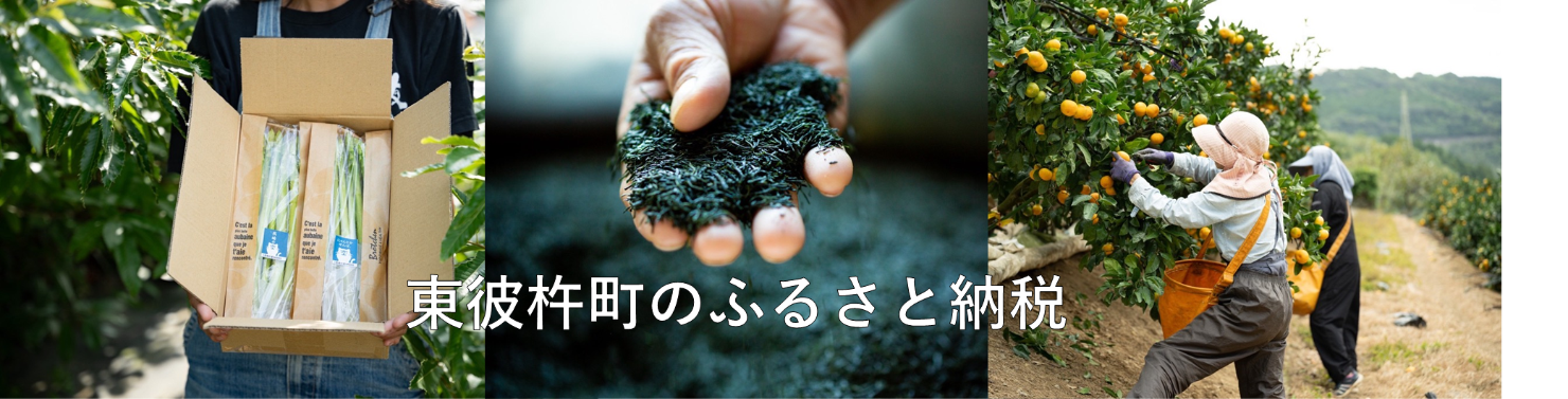 ふるさと納税はこちらから