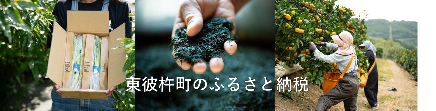 ふるさと納税はこちらから