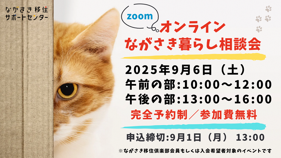 猫がこちらを見ている